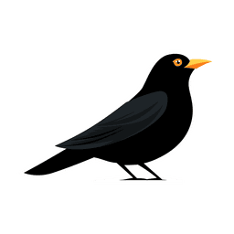 Amsel.io